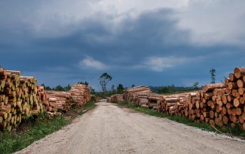 Forestry industry welcomes China tariff reductions as a ‘first step’