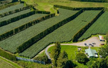 BOP iwi scoop big kiwifruit orchard deal