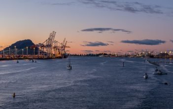 Port quarterly results flat, but annual prospects good