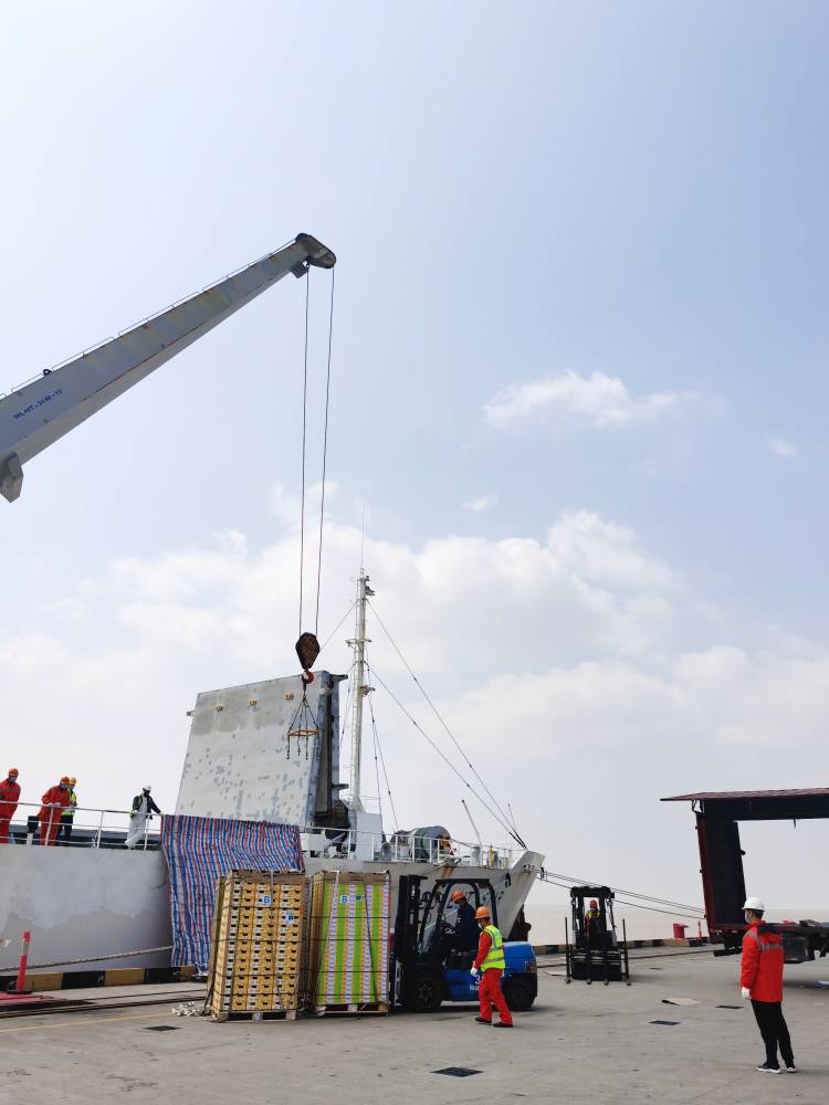 kiwifruit being unloaded in China