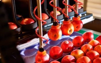 Bay robotics a focus for agritech roadmap